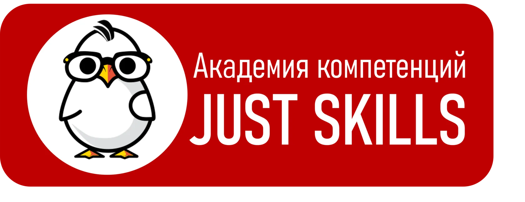 JUST SKILLS